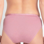 Women Pack Of 3 Assorted Pure Super Combed Anti-Microbial Cotton Hipster Briefs