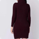 "Women Solid High Neck Sweater Dress "