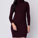 "Women Solid High Neck Sweater Dress "